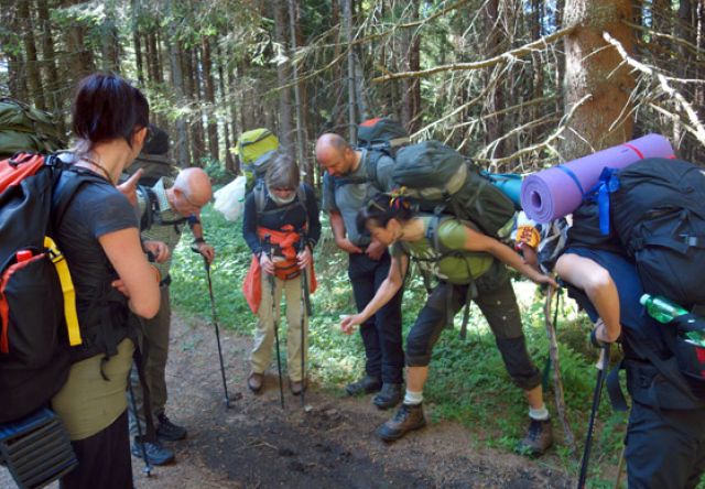 Wolfsspuren im Vorübergehen