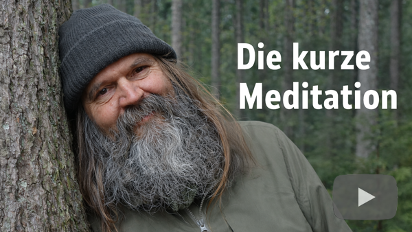 Video abspielen
