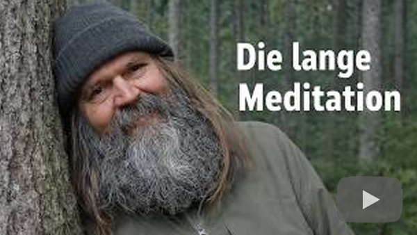 Video abspielen