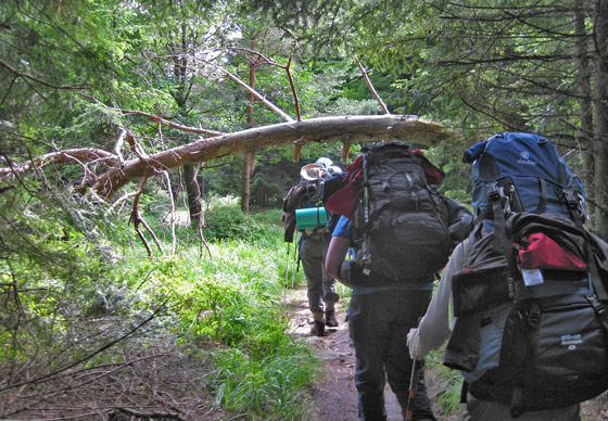 Wildniswandern Wildniswandern