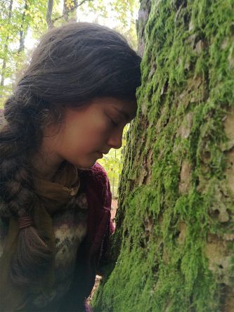 Allein mit dem Wald … Allein mit dem Wald …