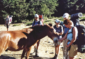 ...Schritt. Bestellen Sie unser Programm für Wanderungen und Wildnisseminare!