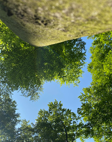 …meditation …meditation