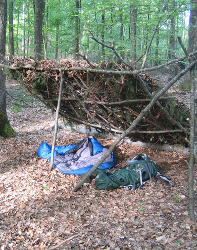 Schlafplatz im Wald