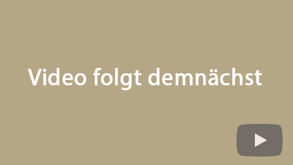 Video abspielen