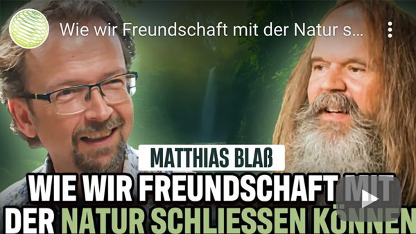 Video abspielen Video abspielen