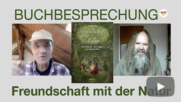 Video abspielen Video abspielen